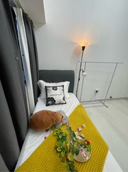 Textile Centre (D7), Apartment #509453191